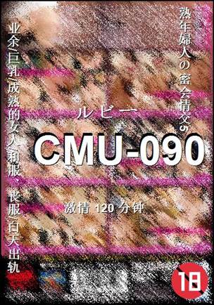 CMU-090torrent