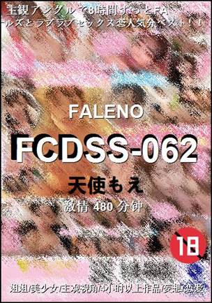 FCDSS-062