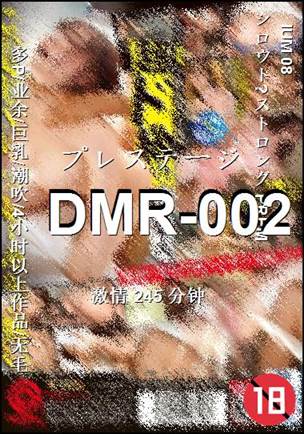 DMR-002torrent