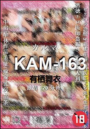 KAM-163