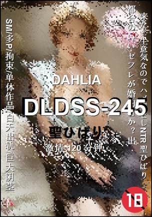 DLDSS-245torrent