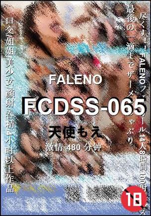 FCDSS-065