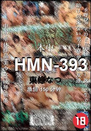 HMN-393torrent