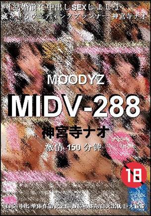 MIDV-288torrent