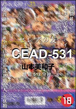 CEAD-531