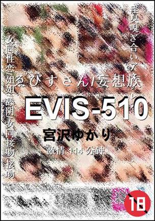 EVIS-510torrent