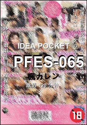 PFES-065