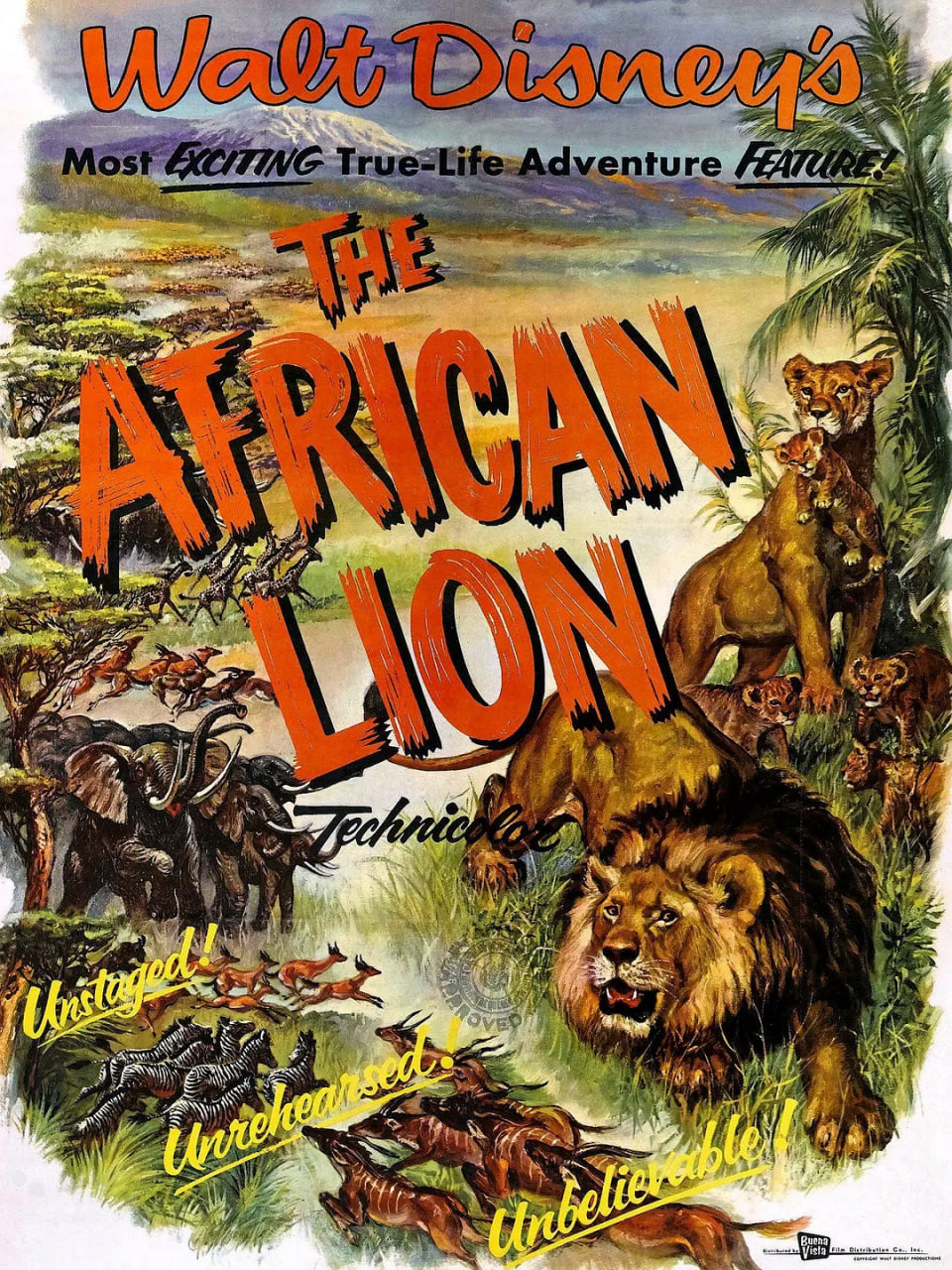  1955